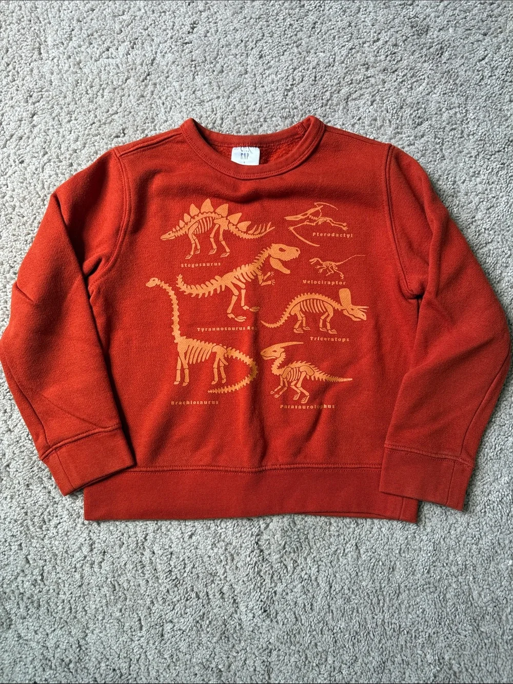 GAP Orange Kids' Dinosaur Skeleton Sweatshirt Size 5